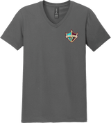 Delaware Ducks Softstyle V-Neck T-Shirt