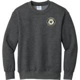 CT ECHO Stars Youth Core Fleece Crewneck Sweatshirt